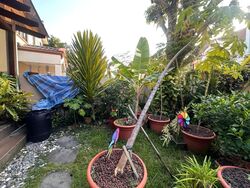 East View Garden (D16), Terrace #538089471